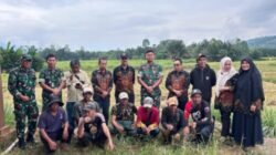 Sinergi Program Kementan Dandim 1403/ Palopo Letkol Arm Kabit Bintoro Priyambodo S.I.P Tinjau Lahan Cetak Sawah Di Mahalona